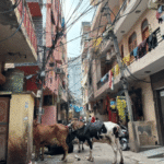 DU Hostel Crisis: हजारों छात्रों के लिए हॉस्टल नहीं, PG-किराए के कमरों का सहारा