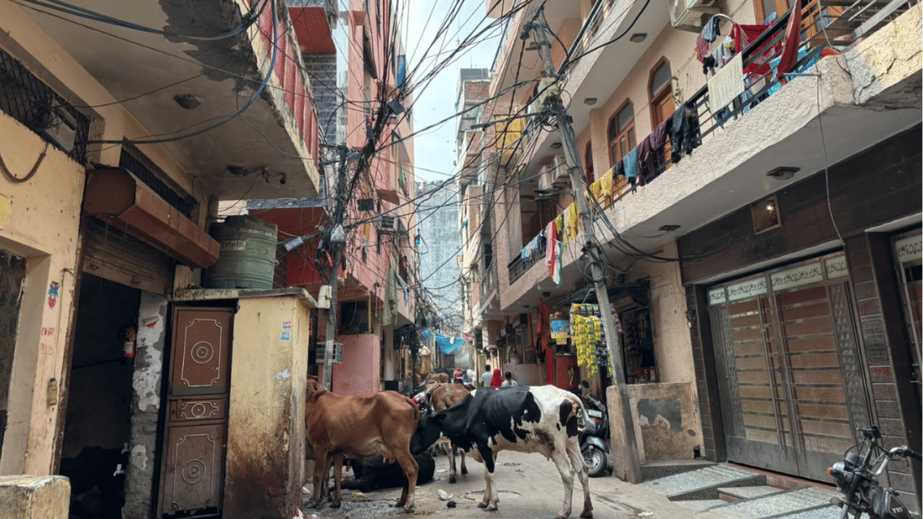 DU Hostel Crisis